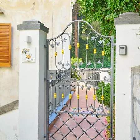 D'apuzzo Nel Cuore Di Nyaraló *