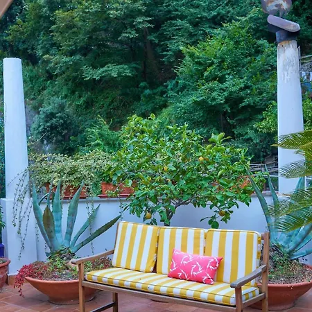 D'apuzzo Nel Cuore Di Positano